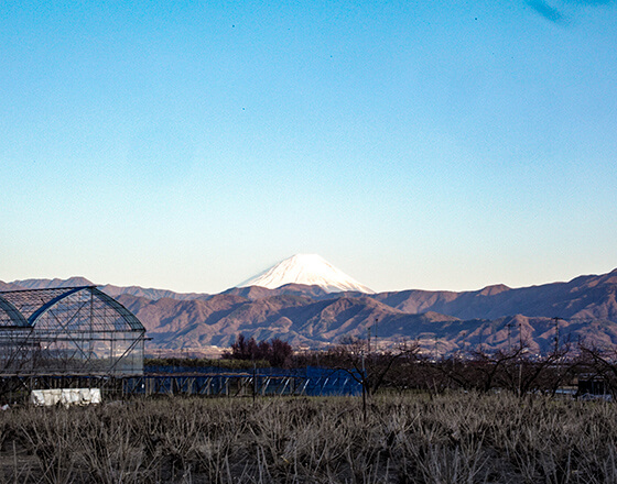 富士山を望む自然豊かな環境で製造